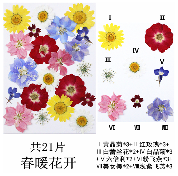 Pressed Flower Embossed Dried Flower Embossing Material Package Leaves Stickers Real Flower Real Plant Specimen