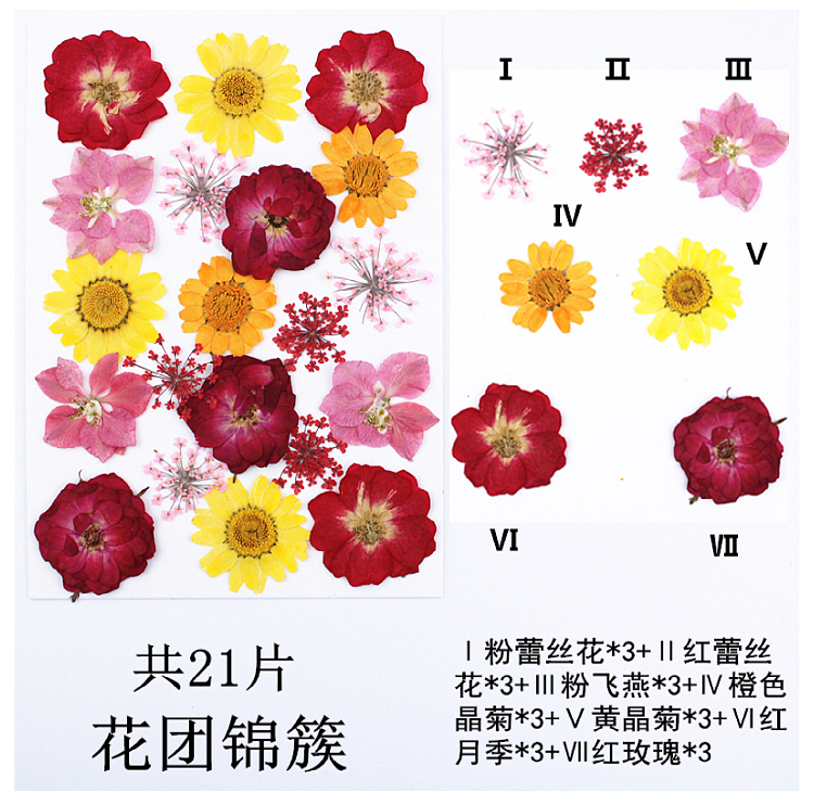Pressed Flower Embossed Dried Flower Embossing Material Package Leaves Stickers Real Flower Real Plant Specimen