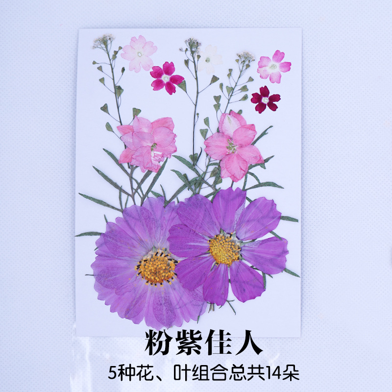 Pressed Flower DIY Material Package Face Embossing Photo Leaves Plant Specimen Bookmark Epoxy Phone Case CrossBorder