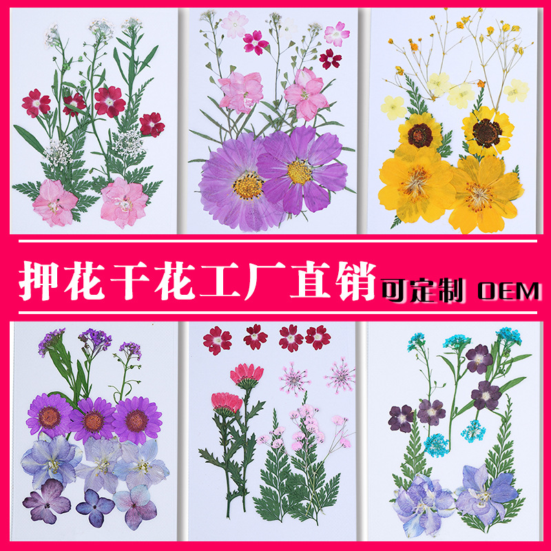 Pressed Flower DIY Material Package Face Embossing Photo Leaves Plant Specimen Bookmark Epoxy Phone Case CrossBorder