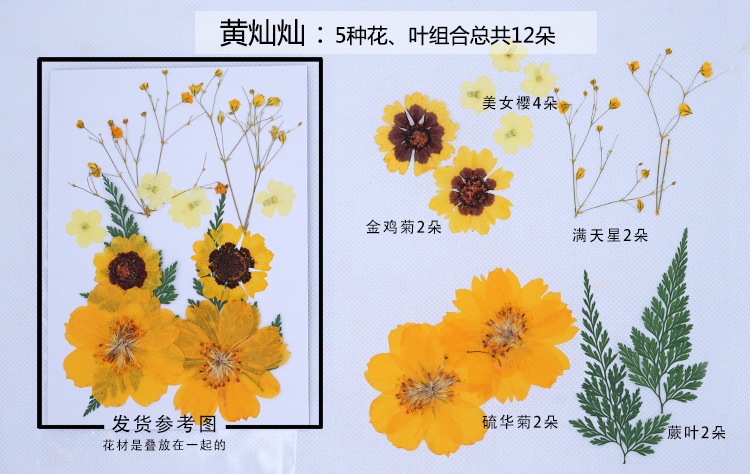 Pressed Flower DIY Material Package Face Embossing Photo Leaves Plant Specimen Bookmark Epoxy Phone Case CrossBorder