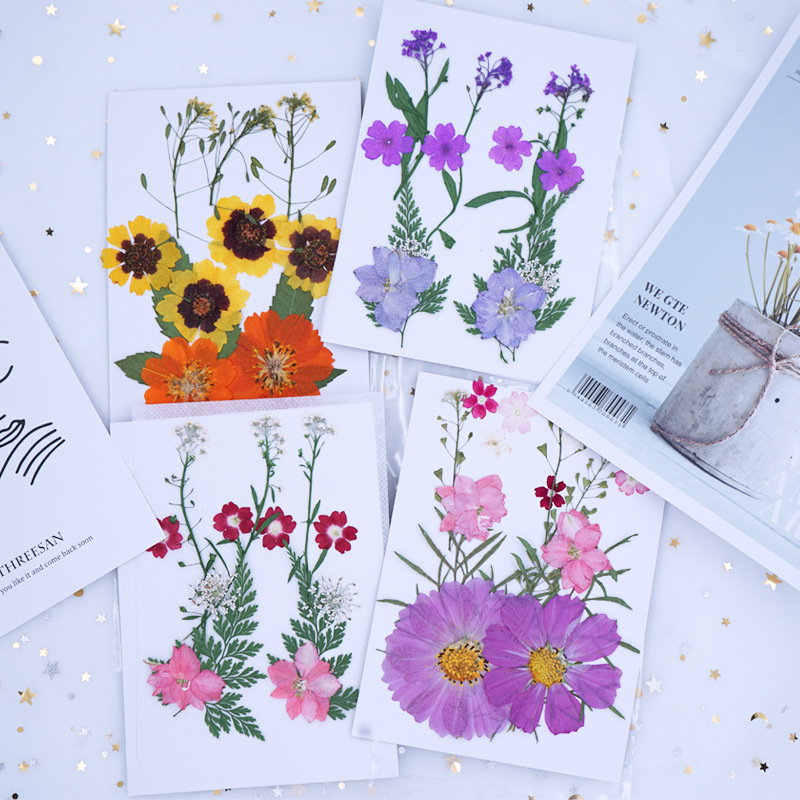Pressed Flower DIY Material Package Face Embossing Photo Leaves Plant Specimen Bookmark Epoxy Phone Case CrossBorder