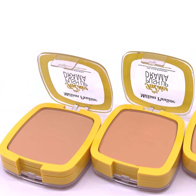 Factory Sale Waterproof Long Lasting Whitening Concealer Anti-wrinkle Compact Pressed Powder