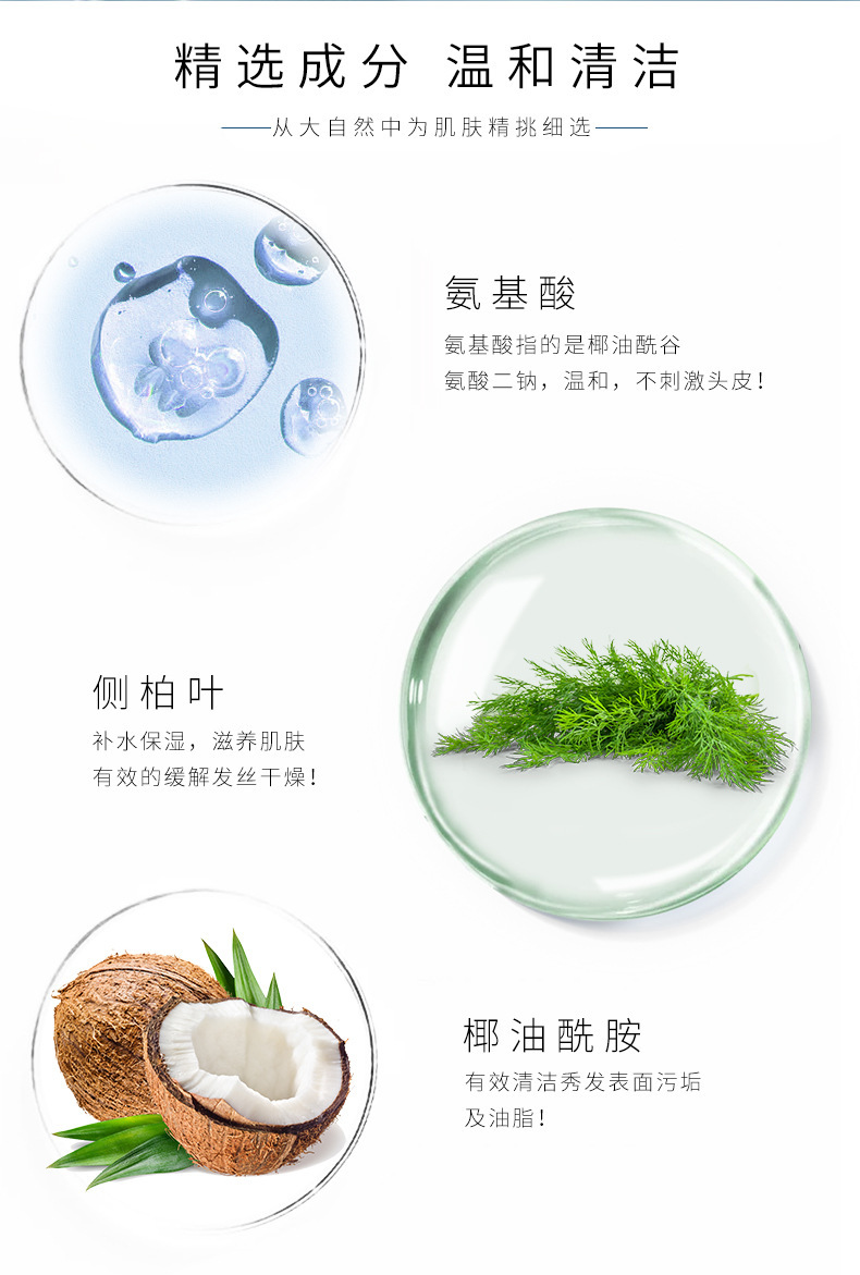 Wholesale New Perfume Silky Oil Control Shampoo Refreshing Fluffy Lasting Fragrance Shampoo Wholesale New Perfume Silky Oil Control Shampoo Refreshing Fluffy Lasting Fragrance Shampoo