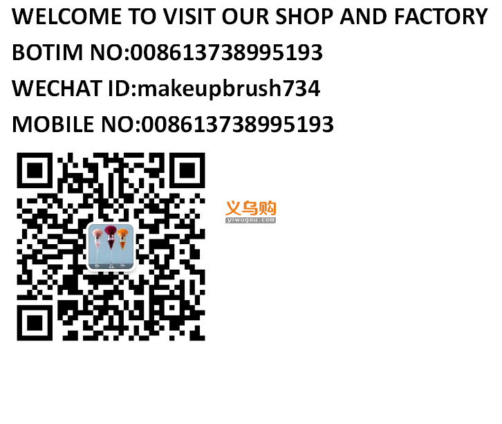pabibrow 12Pcs Professional plastic make up brush Label Makeup brush Makeup Brush PVC Set Wholesales cosmetics brush