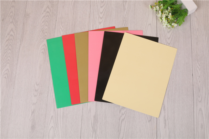 Office stationery folder A4 double bag pocket cover insert color