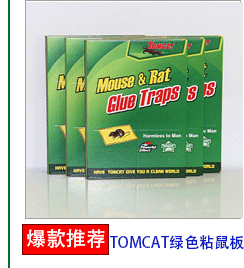 The ultimate killing machine plastic tray in safe deratization deratization plate adhesive glue mouse wholesale The ultimate killing machine plastic tray in safe deratization deratization plate adhesive glue mouse wholesale