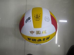 Train volleyball TV5804