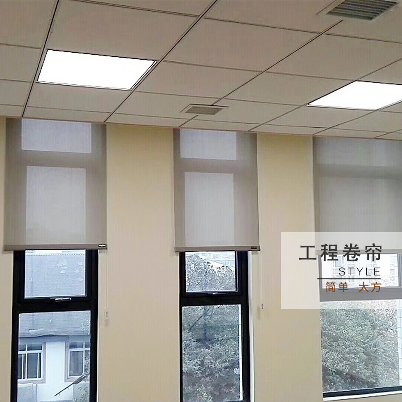 Half Shade Roller Shutter Curtain Factory Direct Sales Conference Room Office Industrial Plant Customizable Shading Insulated Roller Shutter