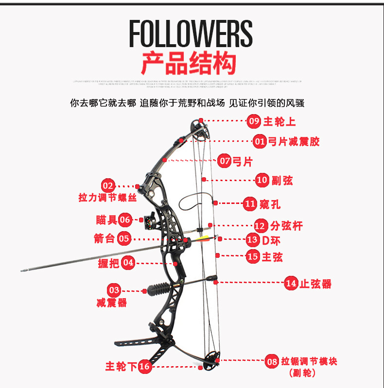 Junxing Glory Composite Bow and Arrow Manufacturer Mechanical Pulley Bow Shooting Archery Supplies Competitive Arrow Hall Competition Junxing Glory Composite Bow and Arrow Manufacturer Mechanical Pulley Bow Shooting Archery Supplies Competitive Arrow Hall Competition
