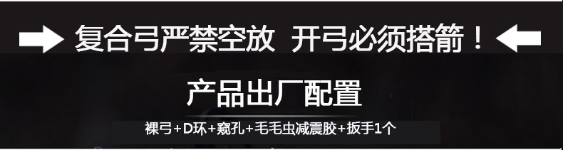 Junxing Glory Composite Bow and Arrow Manufacturer Mechanical Pulley Bow Shooting Archery Supplies Competitive Arrow Hall Competition Junxing Glory Composite Bow and Arrow Manufacturer Mechanical Pulley Bow Shooting Archery Supplies Competitive Arrow Hall Competition