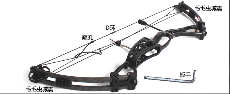 Junxing Glory Composite Bow and Arrow Manufacturer Mechanical Pulley Bow Shooting Archery Supplies Competitive Arrow Hall Competition Junxing Glory Composite Bow and Arrow Manufacturer Mechanical Pulley Bow Shooting Archery Supplies Competitive Arrow Hall Competition