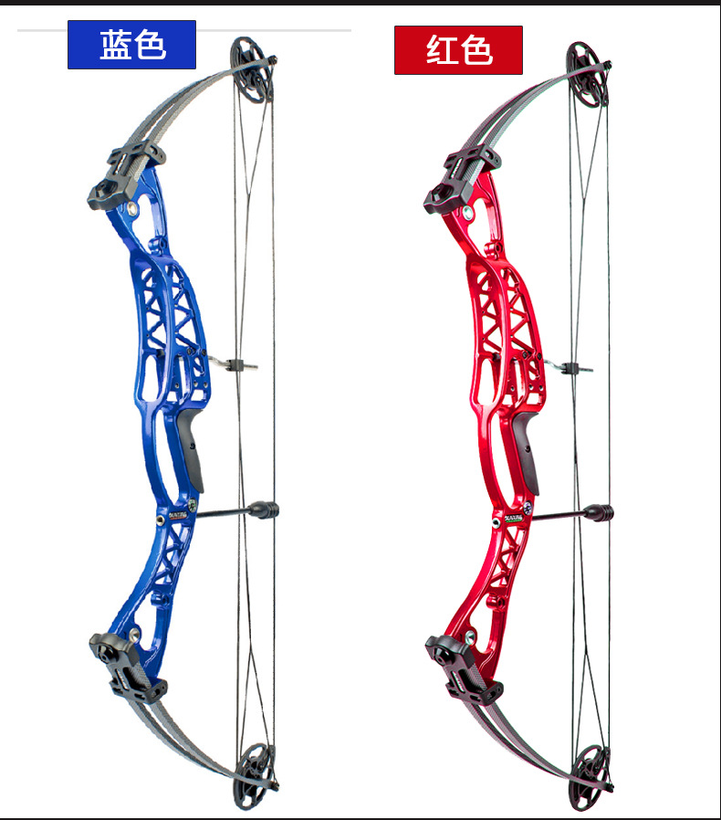 Junxing Glory Composite Bow and Arrow Manufacturer Mechanical Pulley Bow Shooting Archery Supplies Competitive Arrow Hall Competition Junxing Glory Composite Bow and Arrow Manufacturer Mechanical Pulley Bow Shooting Archery Supplies Competitive Arrow Hall Competition