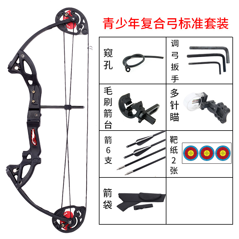 Cross-Border Wholesale Children's Composite Pulley Bow and Arrow Outdoor Archery Equipment Children's Toy Bow Recommended Matching Sucker Arrow Cross-Border Wholesale Children's Composite Pulley Bow and Arrow Outdoor Archery Equipment Children's Toy Bow Recommended Matching Sucker Arrow