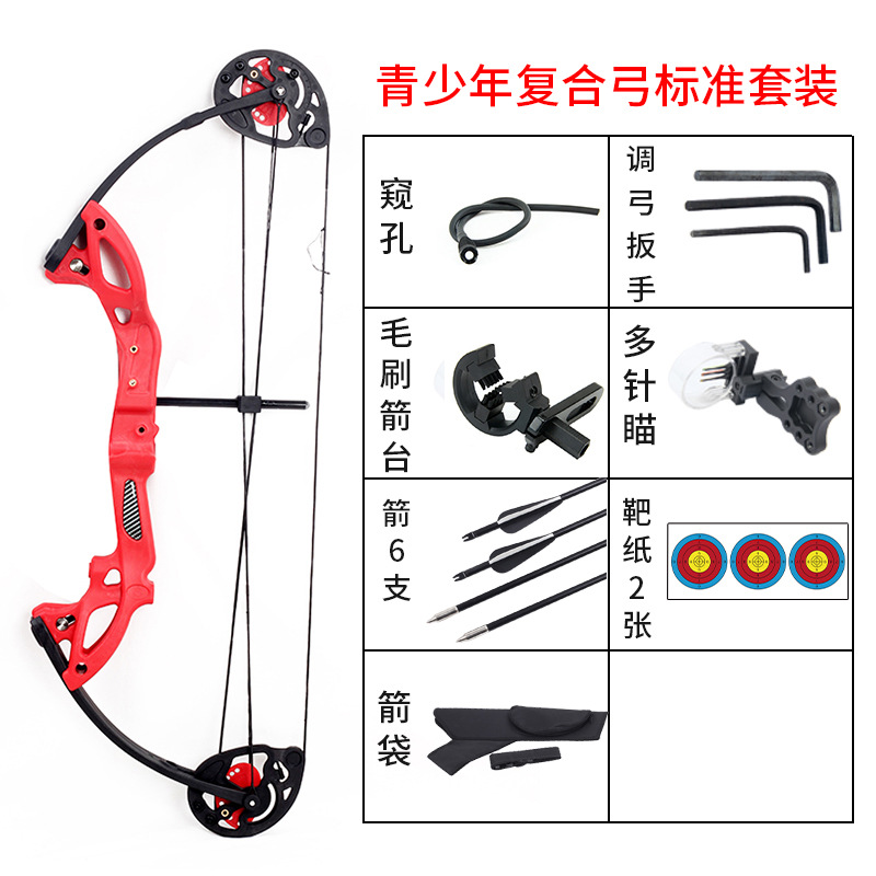 Cross-Border Wholesale Children's Composite Pulley Bow and Arrow Outdoor Archery Equipment Children's Toy Bow Recommended Matching Sucker Arrow Cross-Border Wholesale Children's Composite Pulley Bow and Arrow Outdoor Archery Equipment Children's Toy Bow Recommended Matching Sucker Arrow