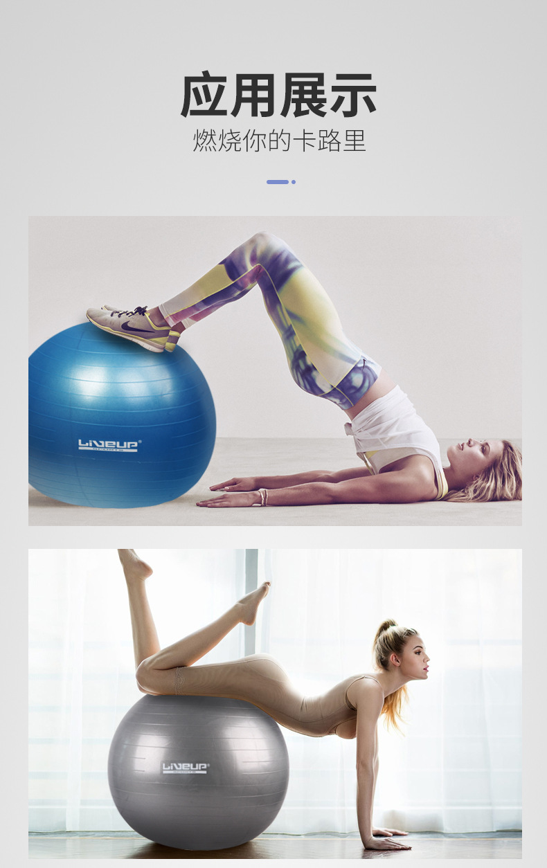 LiveUp Fitness Ball Yoga Ball 556575 Fitness Ball LiveUp Fitness Ball Yoga Ball 556575 Fitness Ball