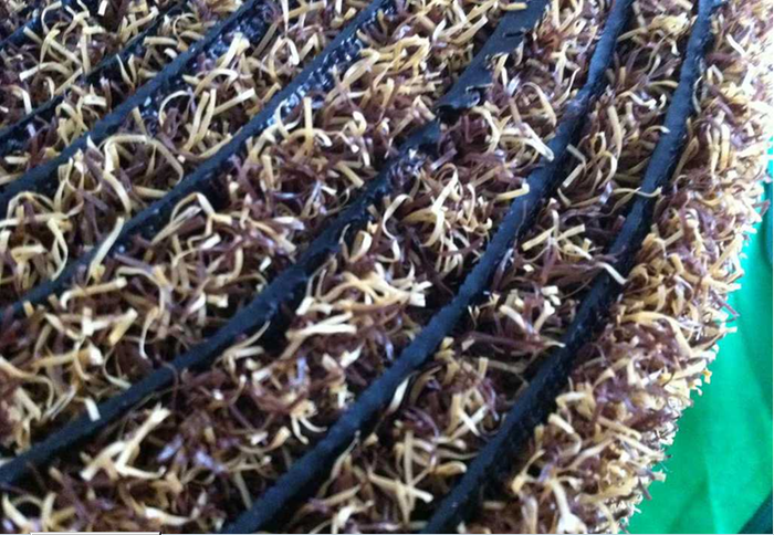 New simulate flower four-leaved clover lawn grass ball  grass straw simulate lawn wholesale
