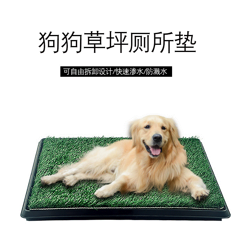 Amazon New Dog Toilet Lawn Toilet Teddy/Golden Retriever Puppy Small Dog Potty Dog Urinal