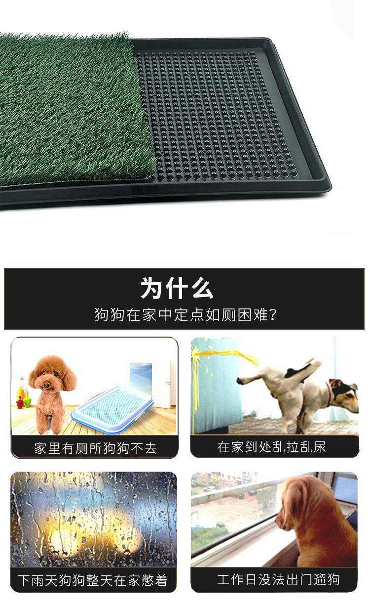 Amazon New Dog Toilet Lawn Toilet Teddy/Golden Retriever Puppy Small Dog Potty Dog Urinal Amazon New Dog Toilet Lawn Toilet Teddy/Golden Retriever Puppy Small Dog Potty Dog Urinal