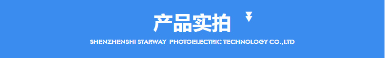 Dynamic Snowflake Projection Lamp Outdoor Waterproof RF Remote Control Snow Light Lawn Lamp