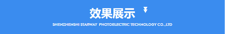 Dynamic Snowflake Projection Lamp Outdoor Waterproof RF Remote Control Snow Light Lawn Lamp