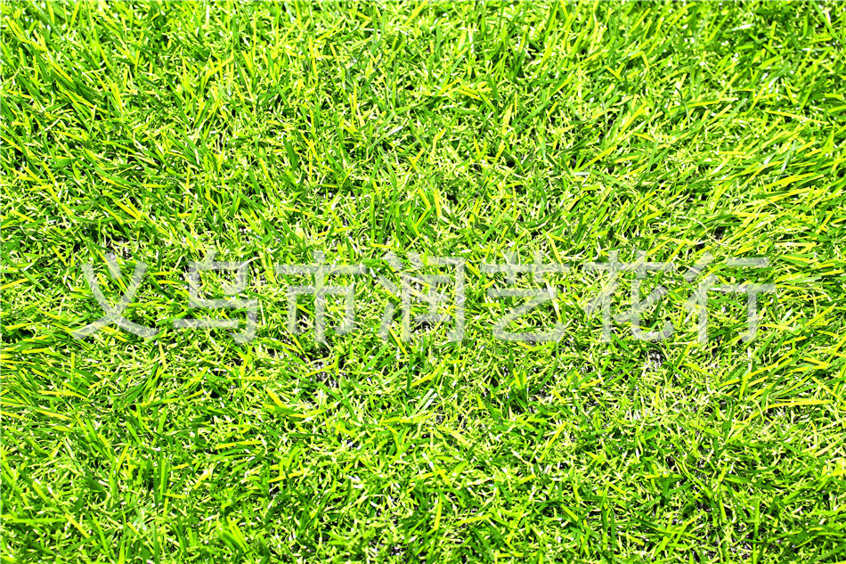 Factory simulation encryption for artificial turf football casual private artificial lawn grass carpet grass