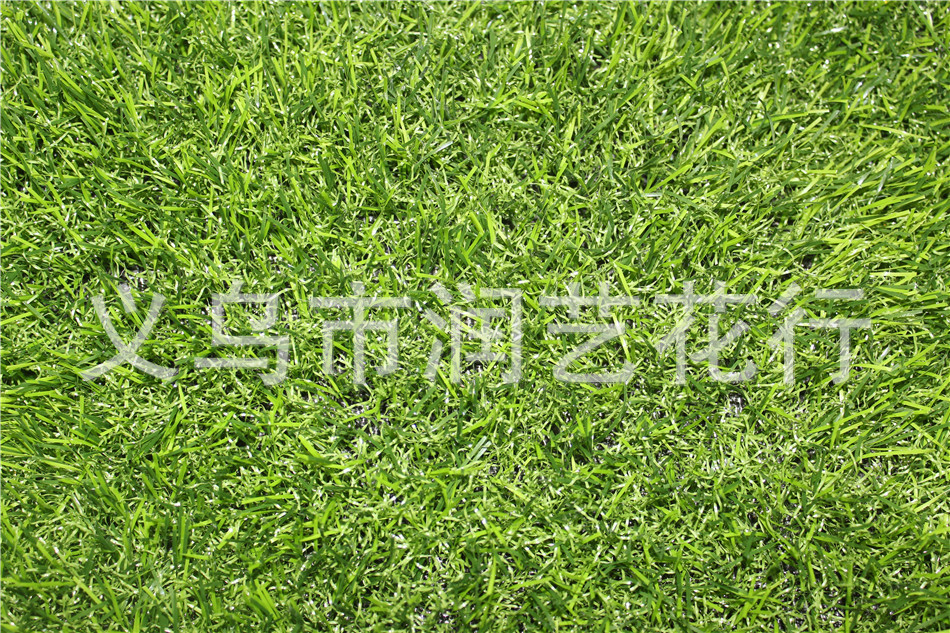 Factory simulation encryption for artificial turf football casual private artificial lawn grass carpet grass