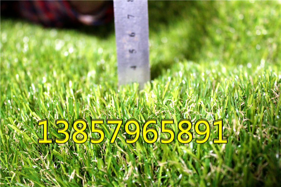 Factory simulation encryption for artificial turf football casual private artificial lawn grass carpet grass