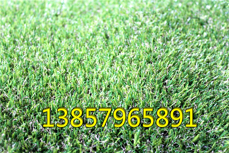 Factory simulation encryption for artificial turf football casual private artificial lawn grass carpet grass
