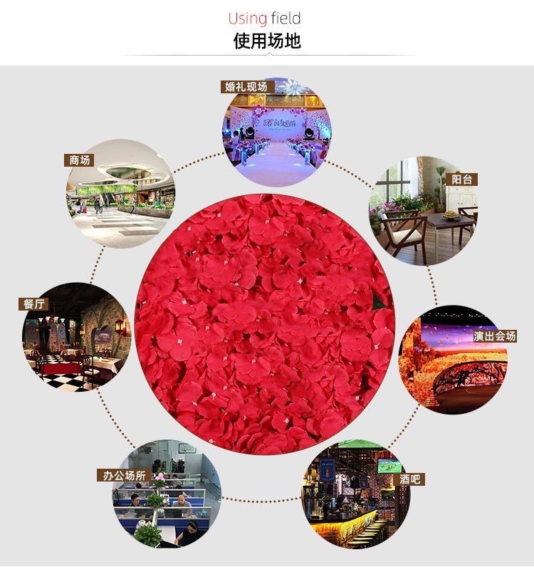 Simulated Pincushion Rows of Plants Background Wall Decoration Wedding Celebration Flower Wall Photography Indoor Silk Flower Fake Flower Lawn Simulated Pincushion Rows of Plants Background Wall Decoration Wedding Celebration Flower Wall Photography Indoor Silk Flower Fake Flower Lawn