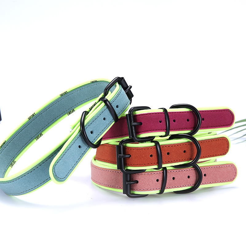 Pet Dog Collar Bite-Proof Protector Traction Collar Collar Full-Size Dog Adjustable Dog Training Collar Spot Goods Can Be Ordered