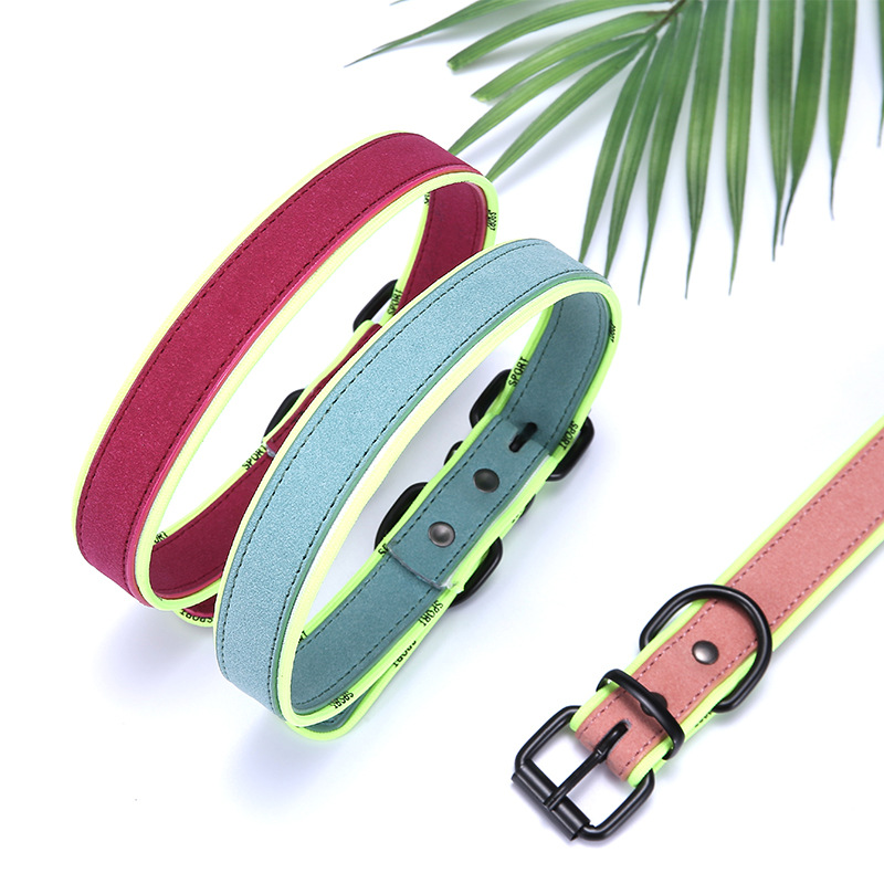Pet Dog Collar Bite-Proof Protector Traction Collar Collar Full-Size Dog Adjustable Dog Training Collar Spot Goods Can Be Ordered