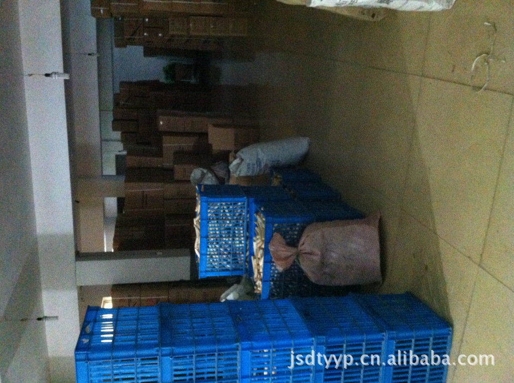 [Factory Direct Sales] with Net Rack Table Tennis Rackets 304