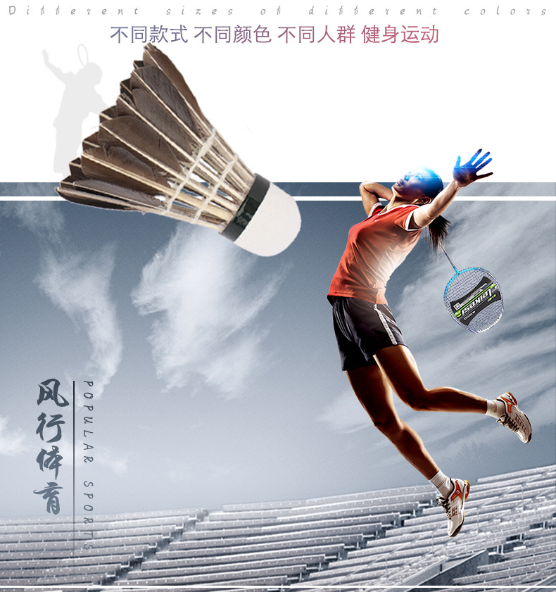 Factory Supply Competition Training High Quality Badminton Adult Durable 12 PCs Badminton Drake Feather Shuttlecock Wholesale Factory Supply Competition Training High Quality Badminton Adult Durable 12 PCs Badminton Drake Feather Shuttlecock Wholesale