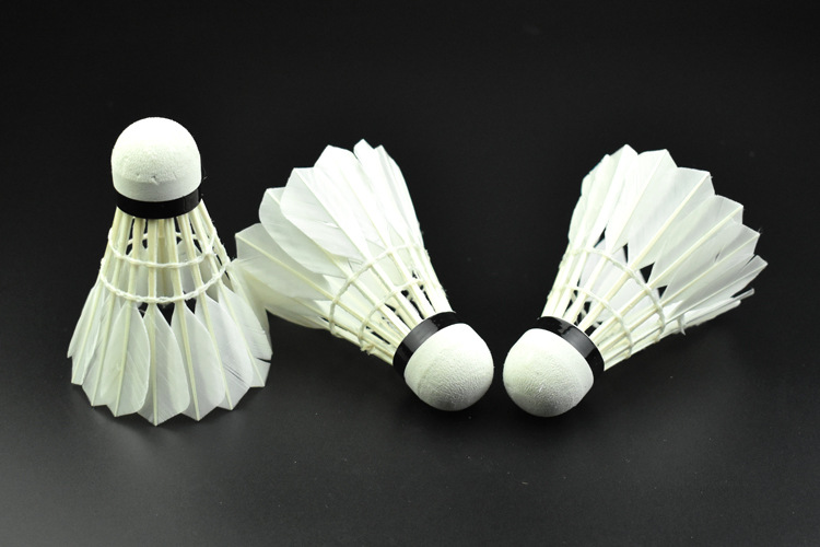Antarctic Style Badminton Novice Exercise Durable Playing Professional Practice Entertainment Duck Feather Shuttlecock Badminton Wholesale Antarctic Style Badminton Novice Exercise Durable Playing Professional Practice Entertainment Duck Feather Shuttlecock Badminton Wholesale