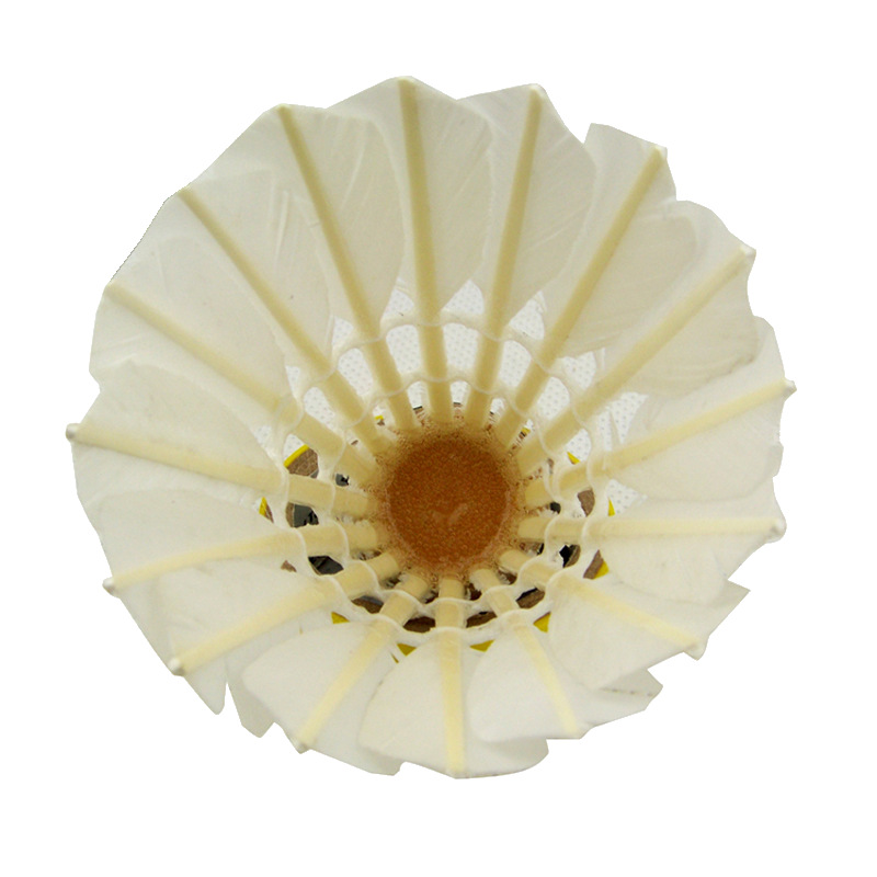 Factory Wholesale for Training Badminton Indoor Outdoor Shuttlecock Durable King Student 12 Pack Practicing Ball