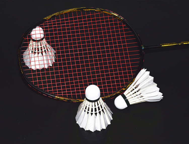 Factory Wholesale Auryder Shuttlecock Training Ball Three Pack Badminton Authentic OEM Flight Stable Durable