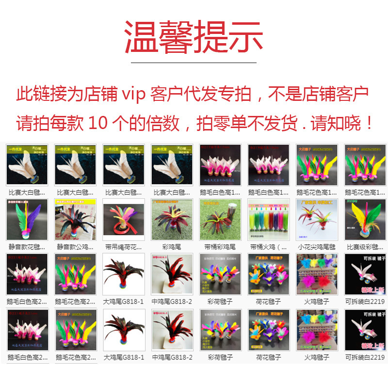 Shuttlecock Wholesale Dire Shuttlecock Children Primary School Students Adult Competition White Goose Feather Sporting Goods Fitness Exercise Shuttlecock