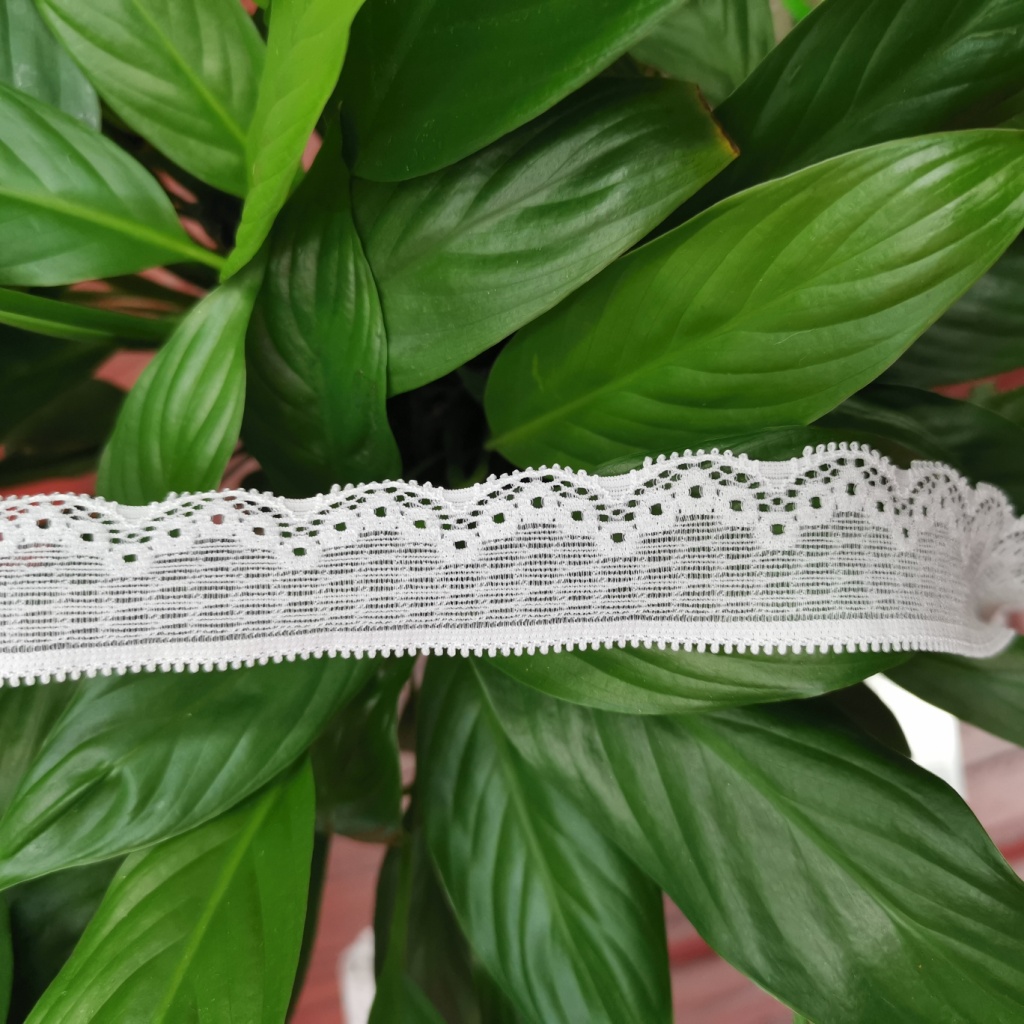 New Bottoming Shirt Cuff Lace Neckline Lace Bra Underwear Lace New Bottoming Shirt Cuff Lace Neckline Lace Bra Underwear Lace