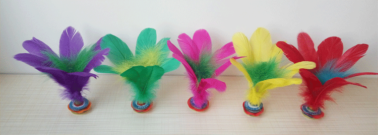 Manufacturer's direct sale of large color lotus shuttlecock chicken goose feather students fitness and entertainment Manufacturer's direct sale of large color lotus shuttlecock chicken goose feather students fitness and entertainment