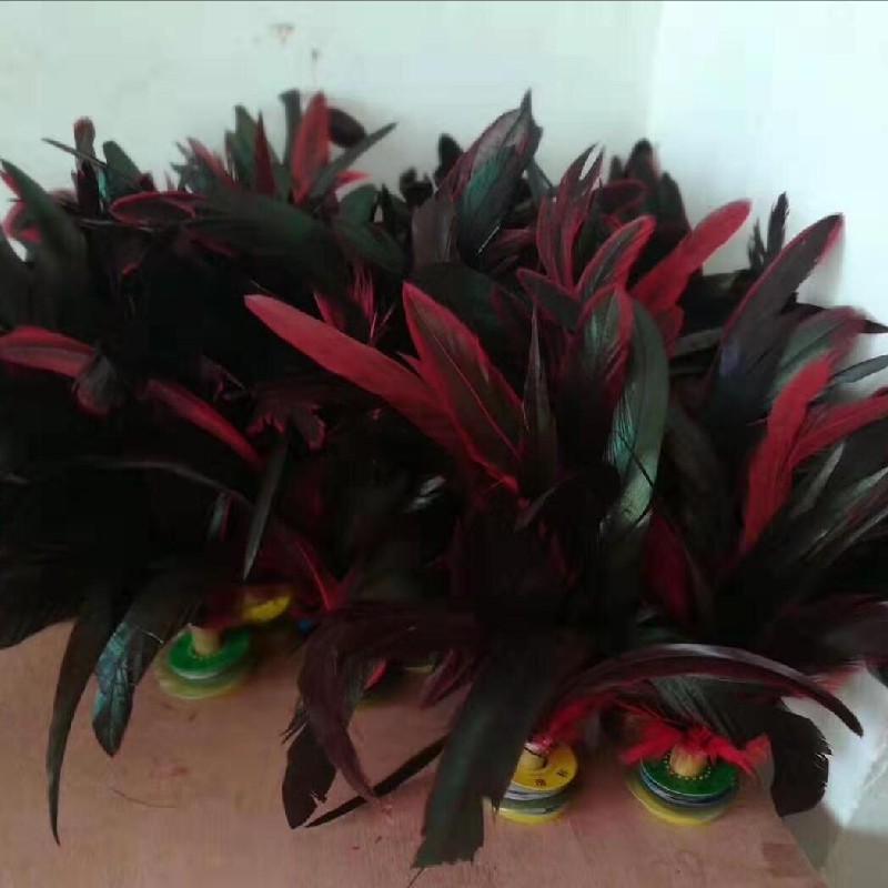It is hoped that Shuttlecock, cock feathers, Shuttlecock, Plastic Shuttlecock, dedicated for Shuttlecock