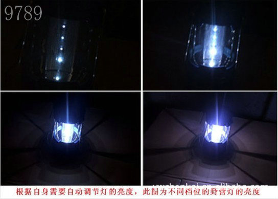 12LED style camping tent lamp lamp camping light ultra bright lights madeng camping light 12LED style camping tent lamp lamp camping light ultra bright lights madeng camping light