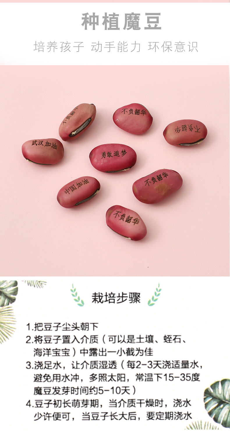 Chenxi Stationery School Supplies Windmill Hand-Cranked Pencil Sharpener Cartoon Pencil Sharpener Pencil Sharpener Custom Printing Logo Chenxi Stationery School Supplies Windmill Hand-Cranked Pencil Sharpener Cartoon Pencil Sharpener Pencil Sharpener Custom Printing Logo