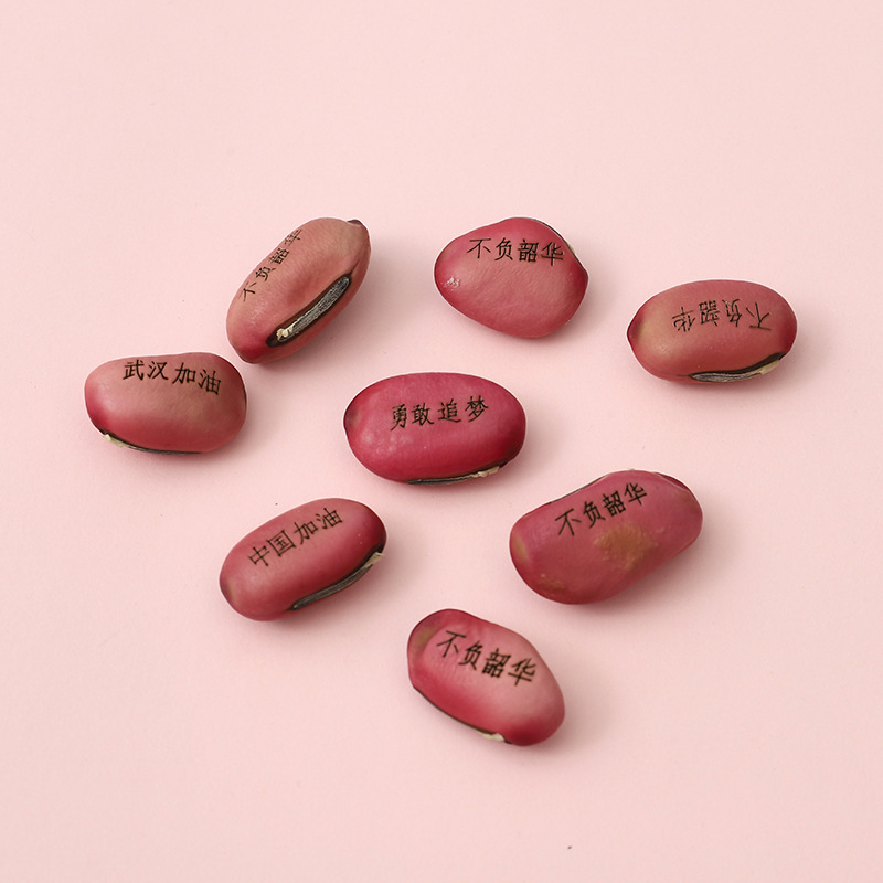 Chenxi Stationery School Supplies Windmill Hand-Cranked Pencil Sharpener Cartoon Pencil Sharpener Pencil Sharpener Custom Printing Logo Chenxi Stationery School Supplies Windmill Hand-Cranked Pencil Sharpener Cartoon Pencil Sharpener Pencil Sharpener Custom Printing Logo