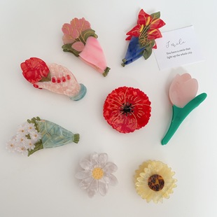 Cross-Border Simple Spring and Summer Transparent Barrettes Cute Fruit Printed Grip Large Geometric Acrylic Shark Clip Wholesale
