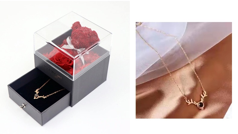Acrylic Preserved Flower Box Cross-Border Hot Lover Women's Day Gift Eternal Rose Lipstick Necklace Gift Box Acrylic Preserved Flower Box Cross-Border Hot Lover Women's Day Gift Eternal Rose Lipstick Necklace Gift Box
