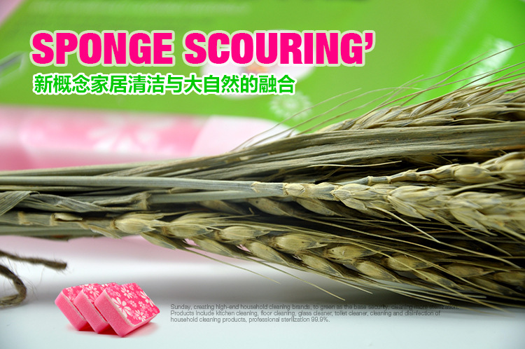"Sunday" sponge scouring pad 3-Pack print heat resistant kitchen washing the dishes clean