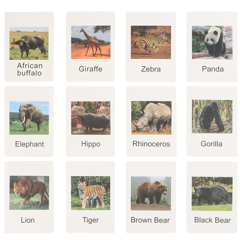 Early Childhood Education Toys Dinosaur Marine Animal Sand Table Scene Science and Education Cognitive Model Matching Recognition Study Card Early Childhood Education Toys Dinosaur Marine Animal Sand Table Scene Science and Education Cognitive Model Matching Recognition Study Card