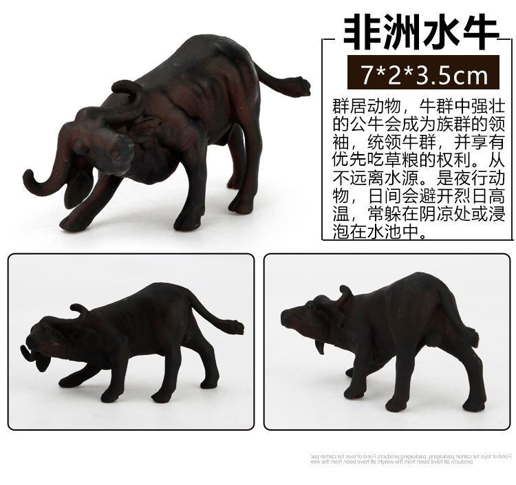 Early Childhood Education Toys Dinosaur Marine Animal Sand Table Scene Science and Education Cognitive Model Matching Recognition Study Card Early Childhood Education Toys Dinosaur Marine Animal Sand Table Scene Science and Education Cognitive Model Matching Recognition Study Card