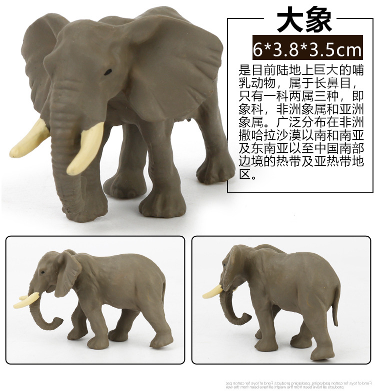 Early Childhood Education Toys Dinosaur Marine Animal Sand Table Scene Science and Education Cognitive Model Matching Recognition Study Card Early Childhood Education Toys Dinosaur Marine Animal Sand Table Scene Science and Education Cognitive Model Matching Recognition Study Card